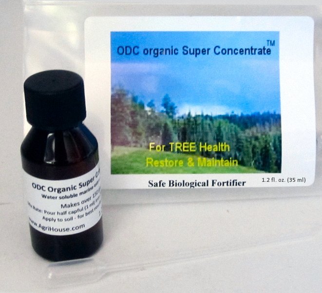 ODC organic Super Concentrate -  1.1 fl oz (33ml) w/dropper
